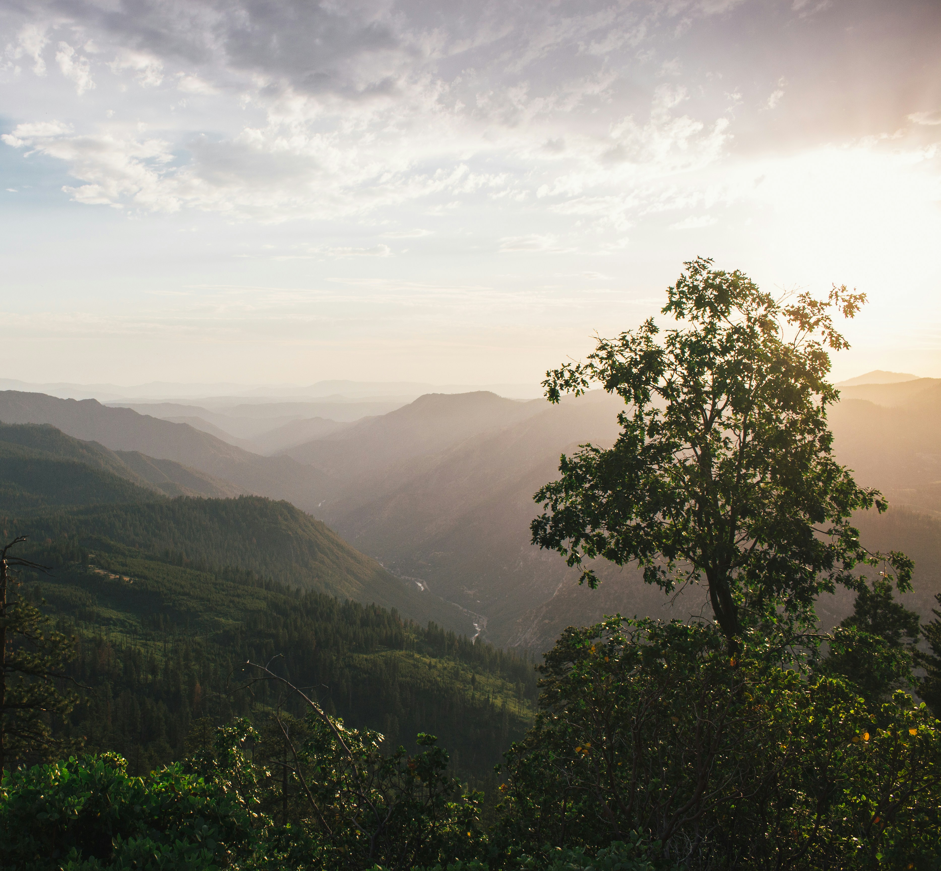 andreas-strandman-iZ3-Bxze9xQ-unsplash