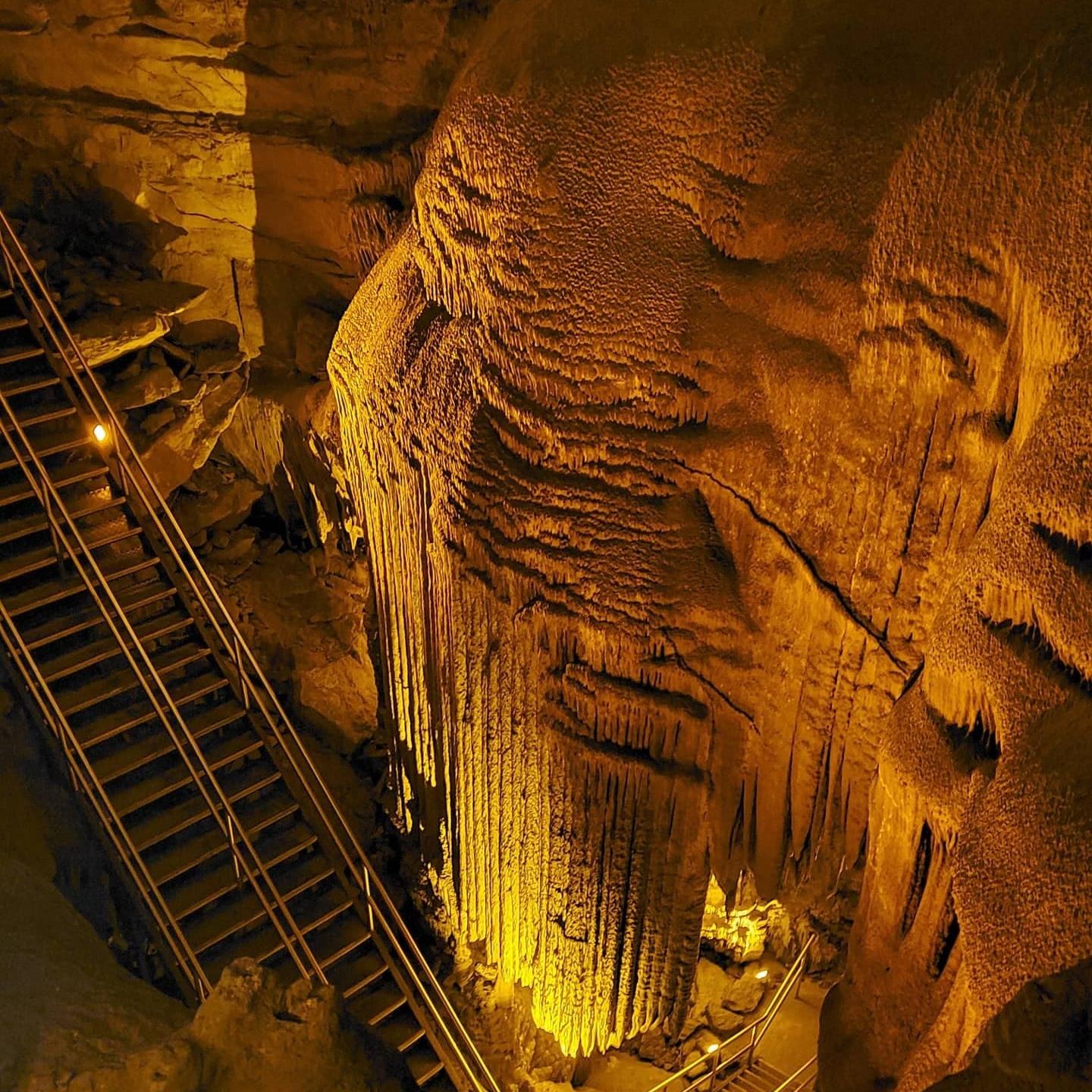 Mammoth Cave National Park