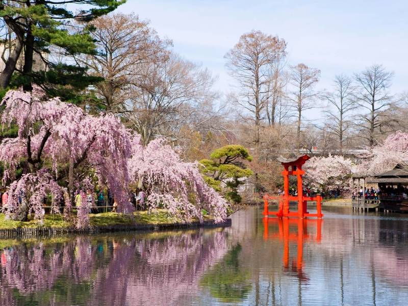 brooklynbotanicgarden_taggeryanceyiv_9877_x_large-1516748169-829