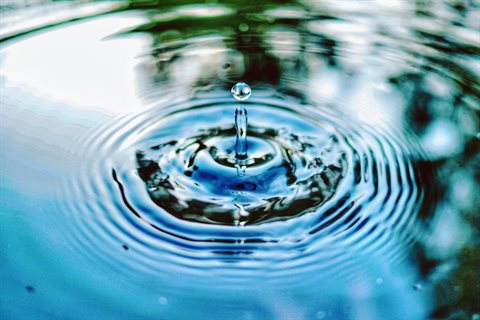 unsplash-NP8gd2KUnfw