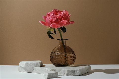 unsplash-BfyeLOAIb_o