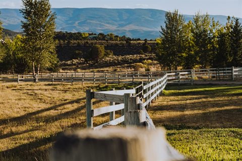 unsplash-dlmeazu4gB8