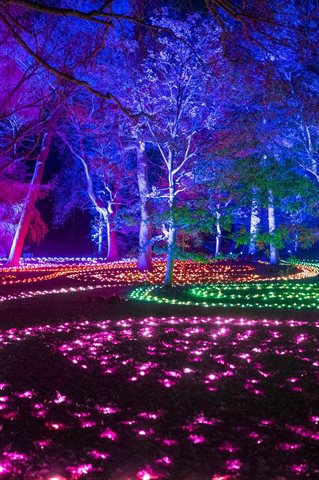 Brooklyn Botanic Garden