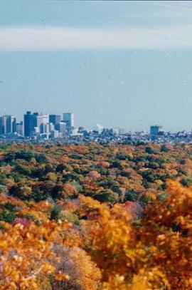 Boston