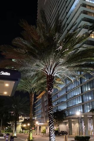 Hampton Inn & Suites by Hilton Miami Downtown/Brickell