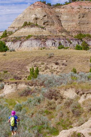 Theodore Roosevelt National Park